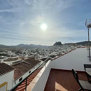 With Terrace Appartement